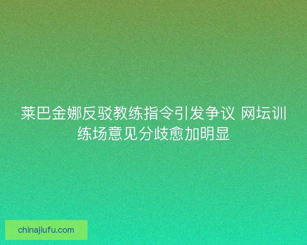 莱巴金娜反驳教练指令引发争议 网坛训练场意见分歧愈加明显
